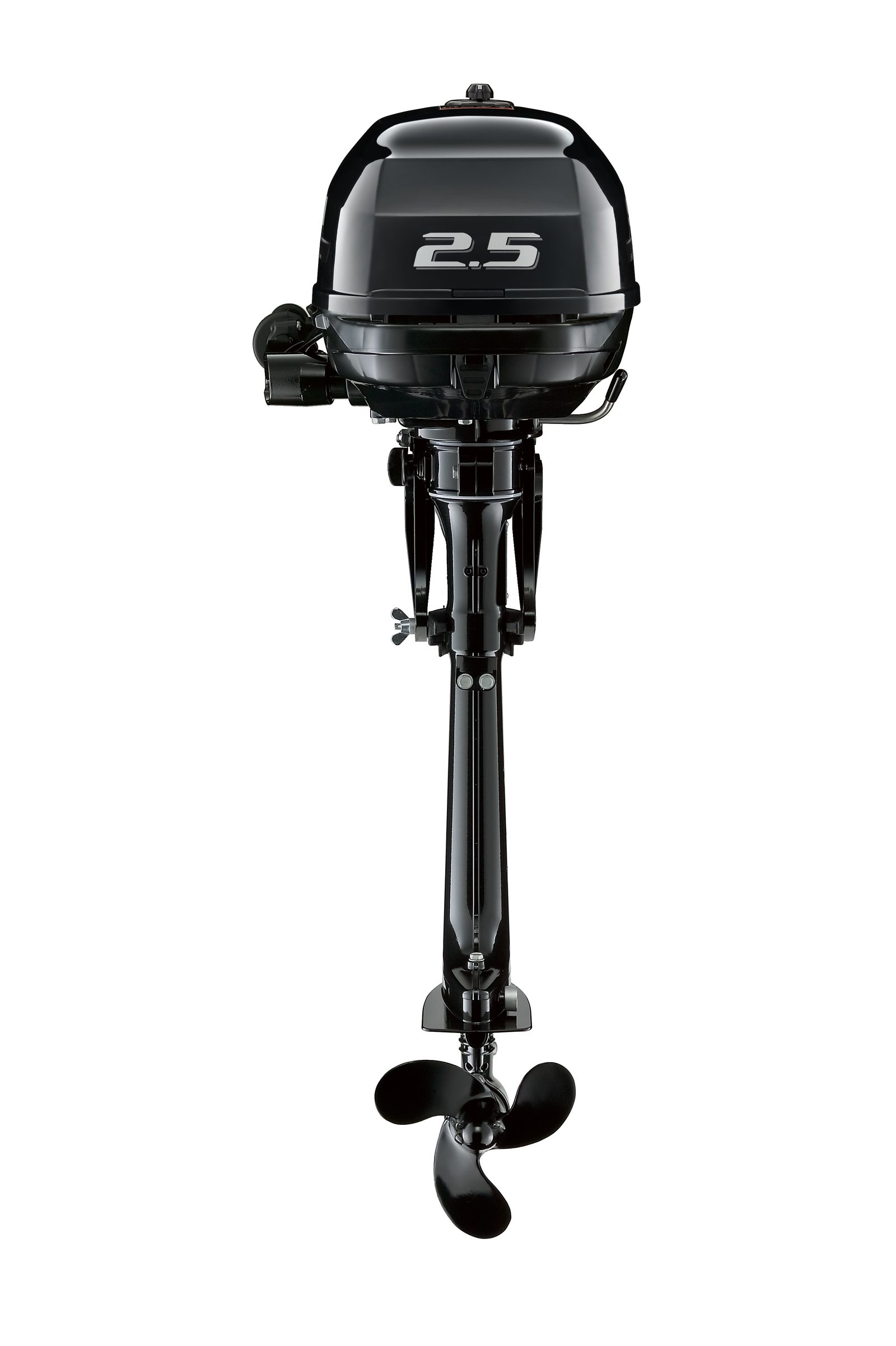 Suzuki DF2.5